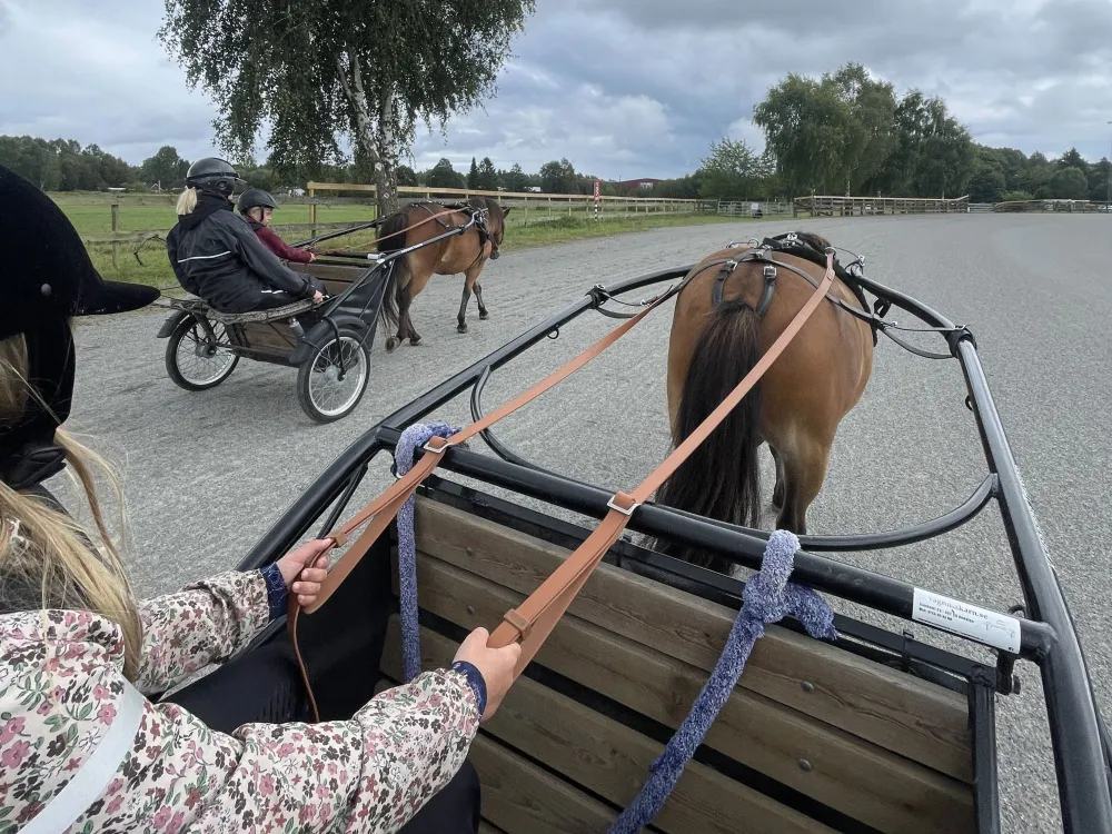 Try trotting during the Easter holidays