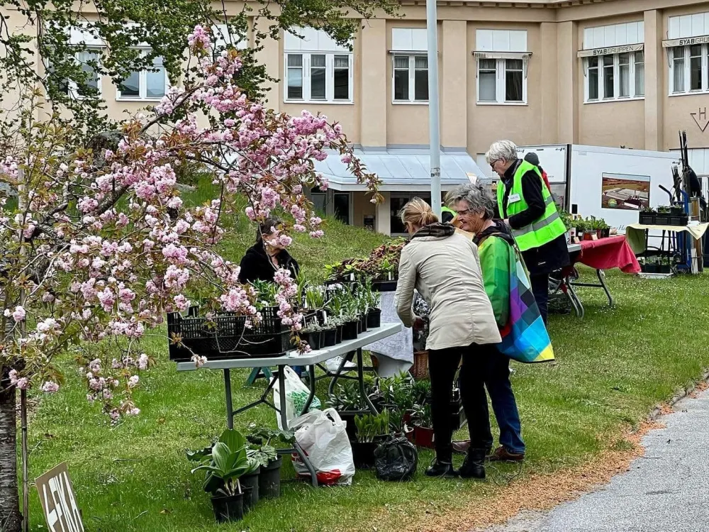 Vårmarknad i Haldaparken