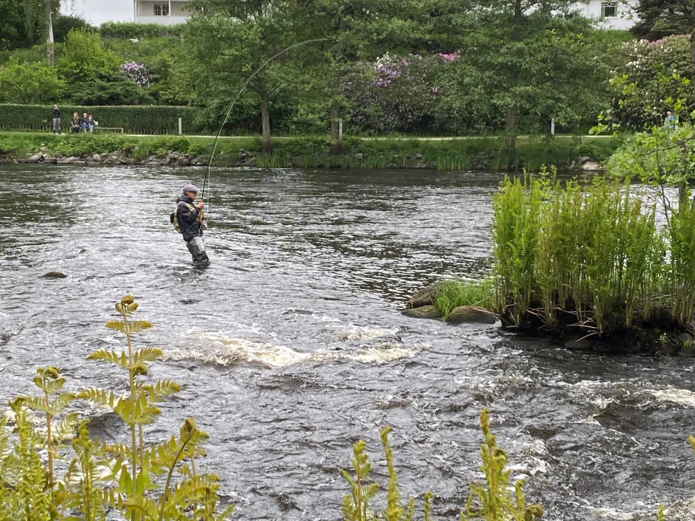 10th anniversary and end of salmon fishing season