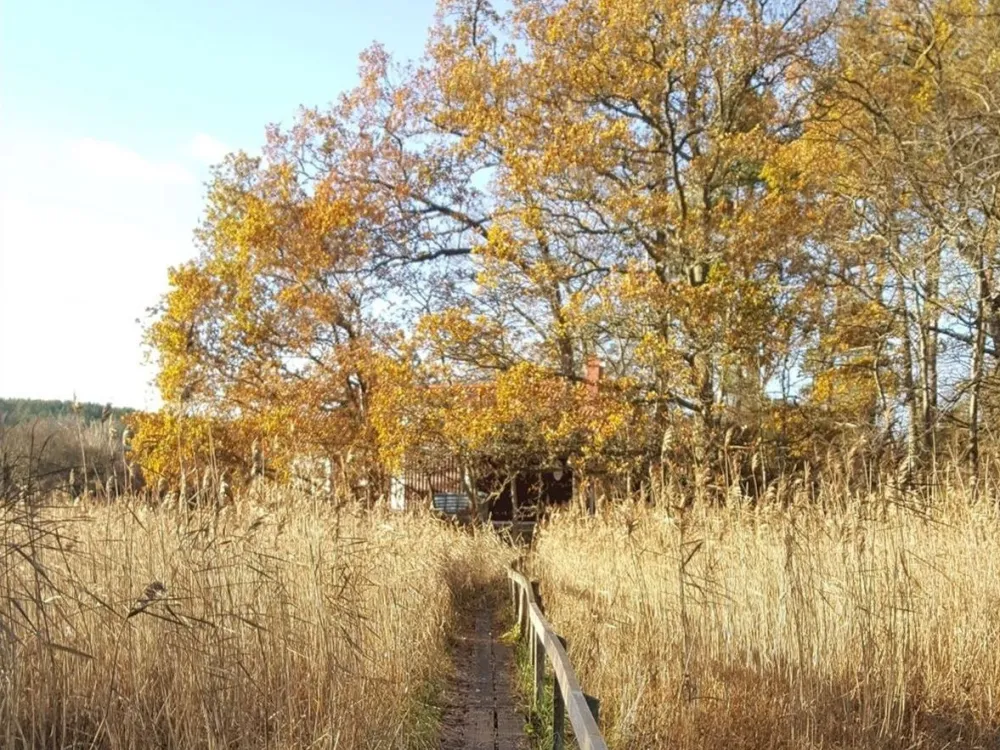 Finalvecka för Hittaut