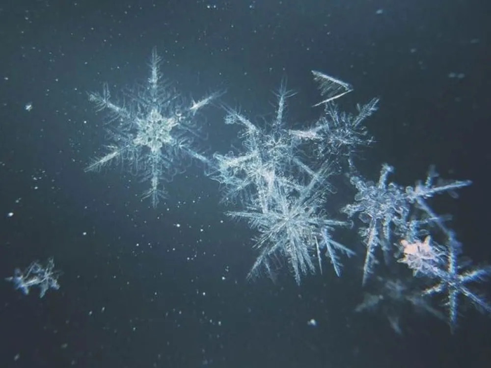 Flakes like crystals - The Music school's Advent concert