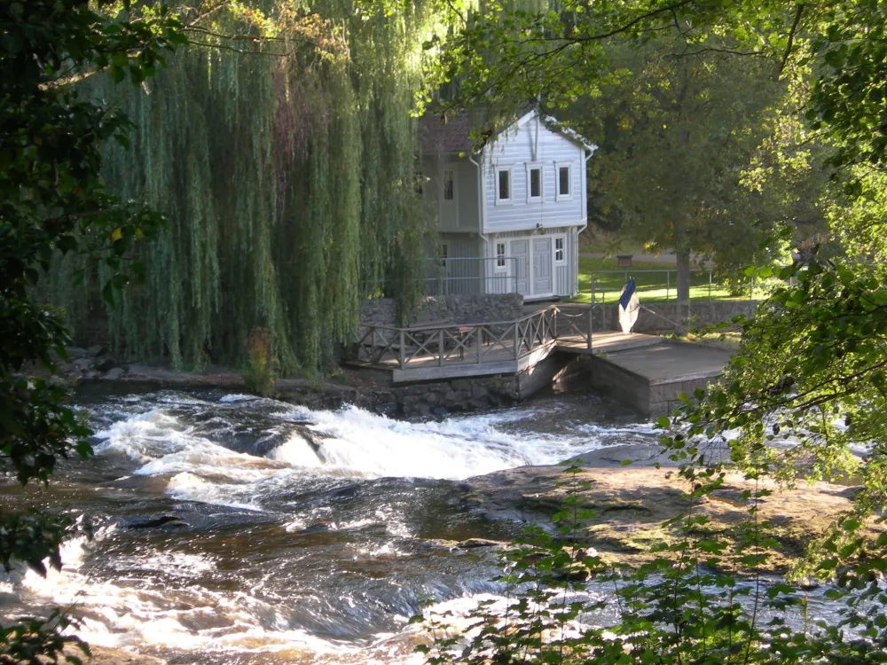 Fishing premiere in Mörrum