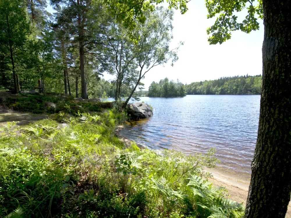 Blekingelunken