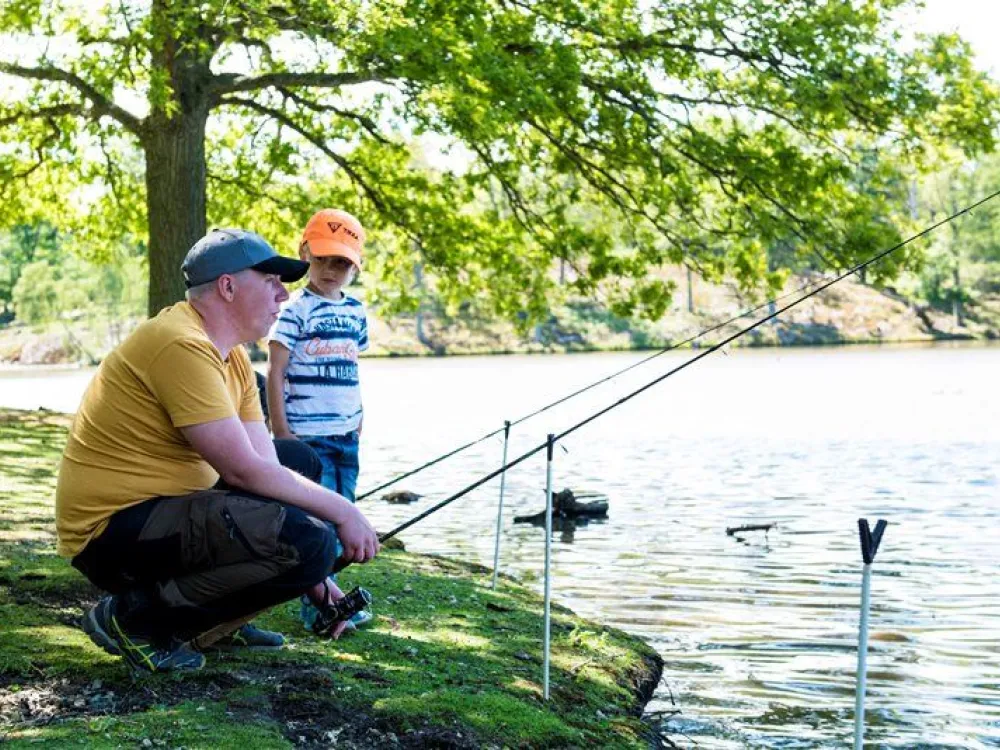Fishing in the lake
