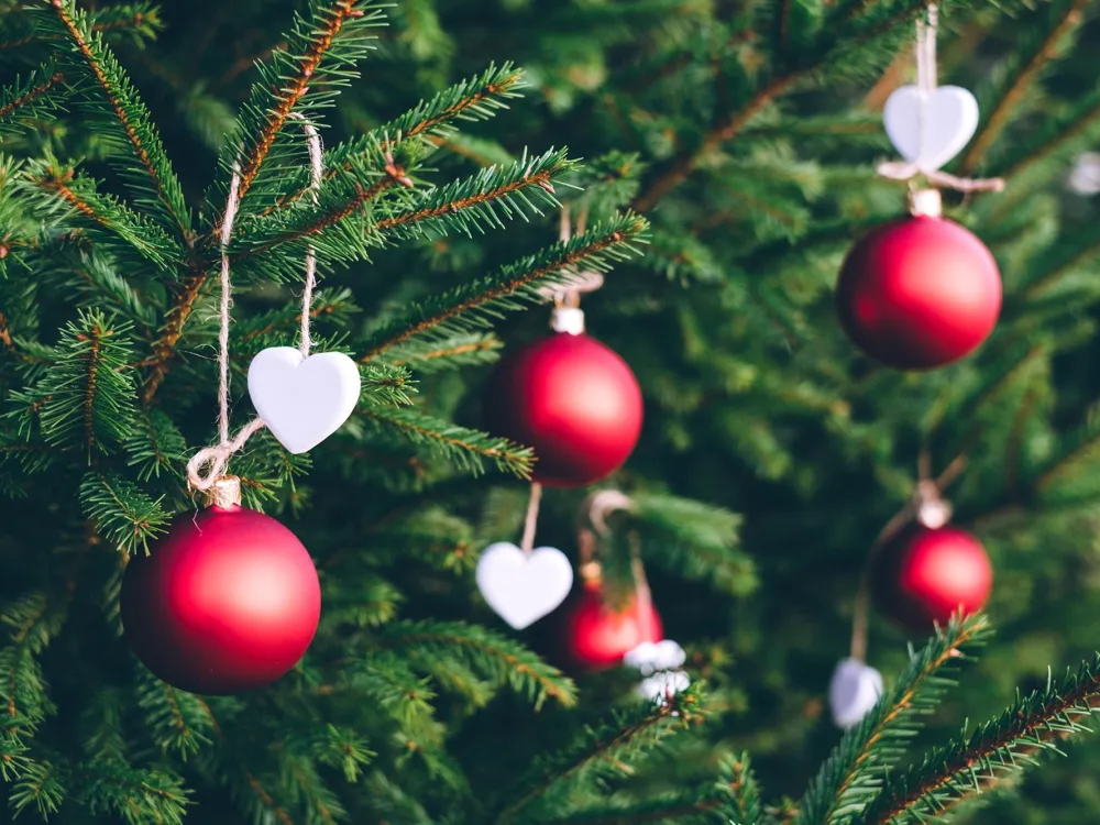Julgranspynt