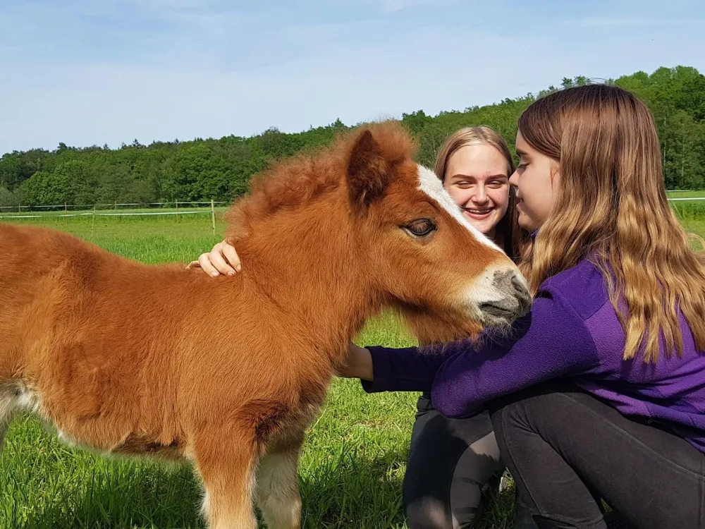 Two girls with a foal