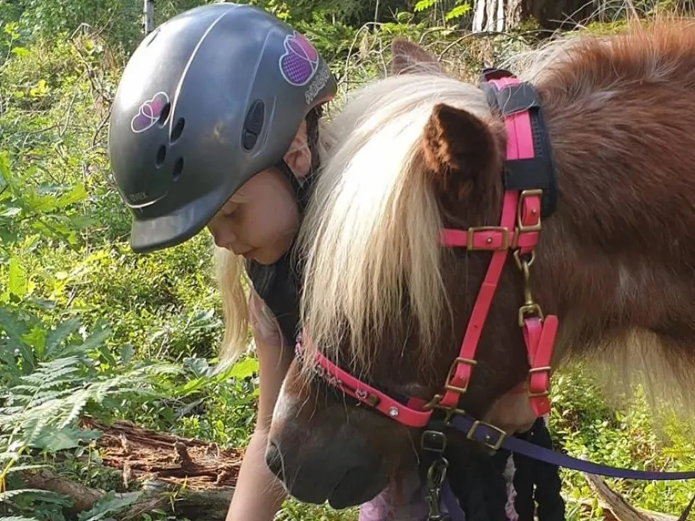 Girl with a horse