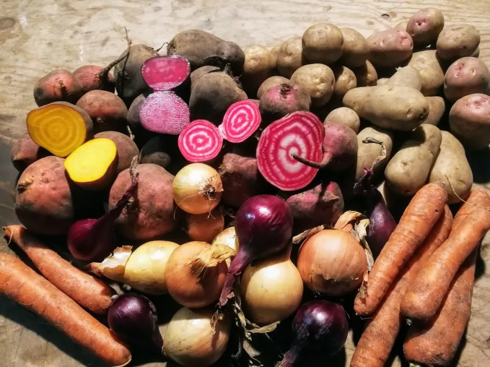 The Farm shop tour in Blekinge