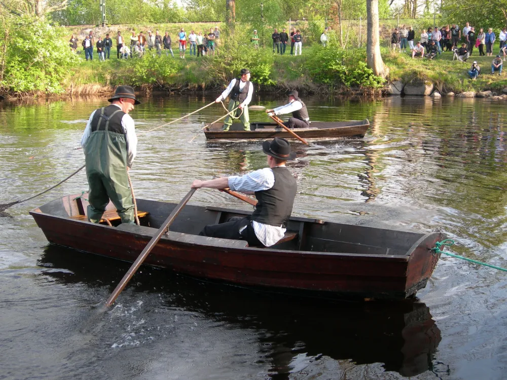 Laxfesten i Mörrum