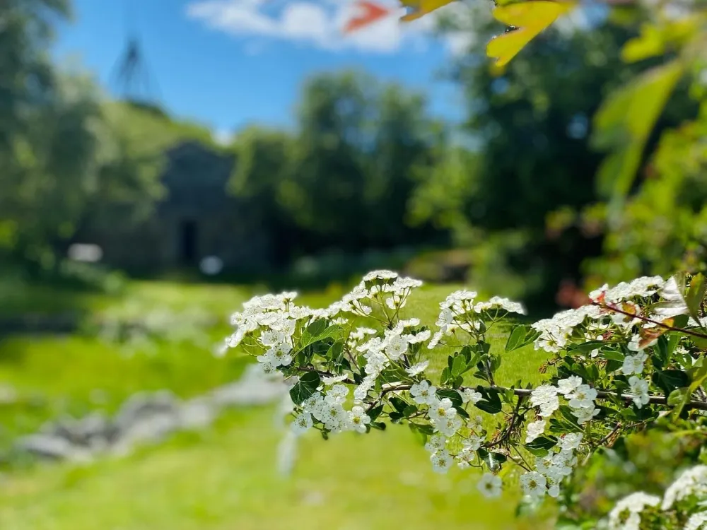 Celebration day at Kastellet