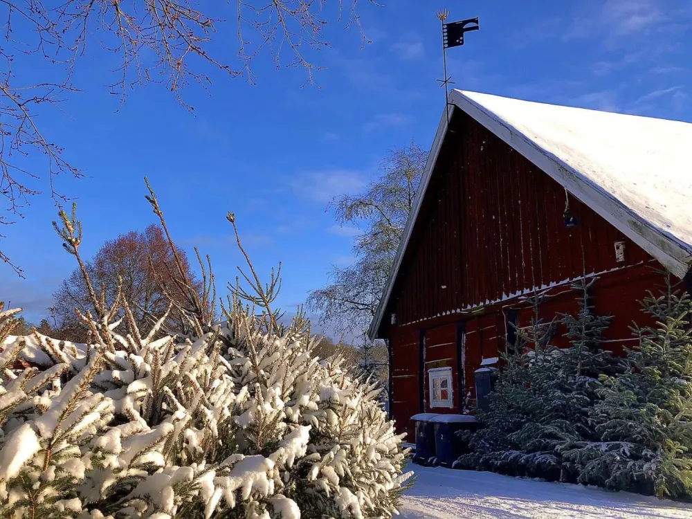 Christmas at Riksdagsmannagården